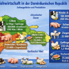 Dominikanische Republik: Bedeutung der Land- und Viehwirtschaft