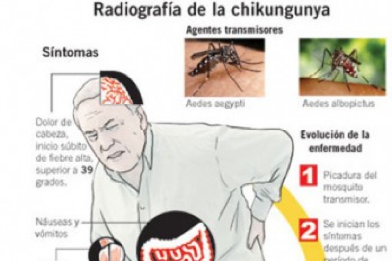 Experten Tipps! 07.08.25   Frankreich: Wie Sie Sich Vor Lokalen Chikungunya, Dengue Und West Nil Virus Fällen Schützen Können! - vvxw2nk