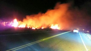 feuer
