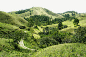 SanJosedeOcoa