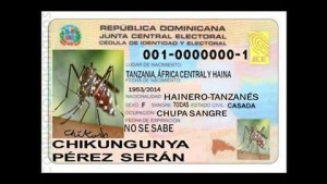 chikunausweis