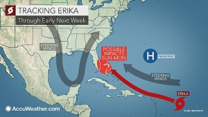 erika1