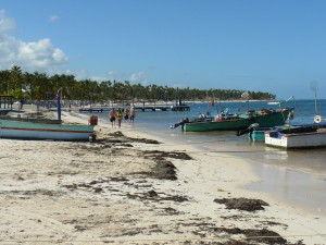 CabezadToroStrand
