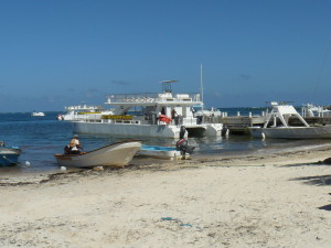 CabezadeToroStrand2