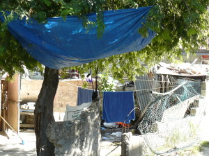 cabezadTorobarrio1