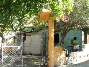 cabezadetorobarrio2