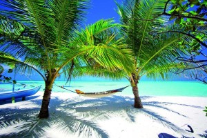 karibik-strand-haengematte-m