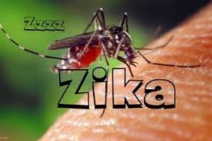zikabild