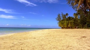 playa las ballenas LT