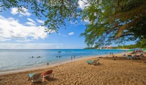 playa sosua