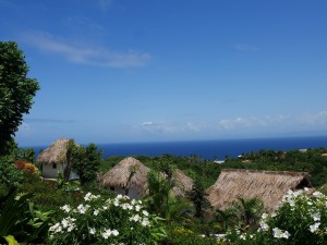 ecolodgegarden