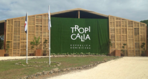 tropicalia-miches