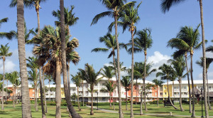 club-med