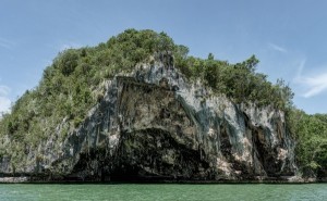 tiburon