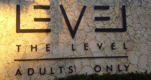 thelevel1 2