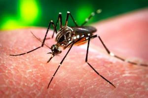 Bildschirmfoto 2018-08-19 um 9.52.04 AM