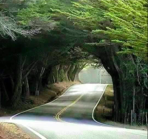 jarabacoatunnel