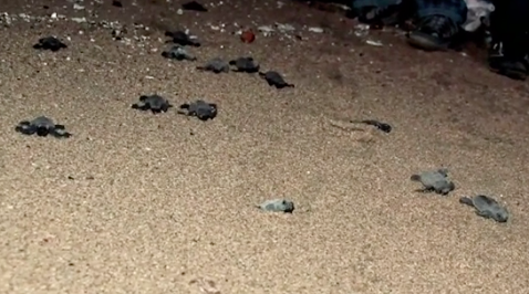 Bildschirmfoto 2019-11-01 um 1.57.20 PM