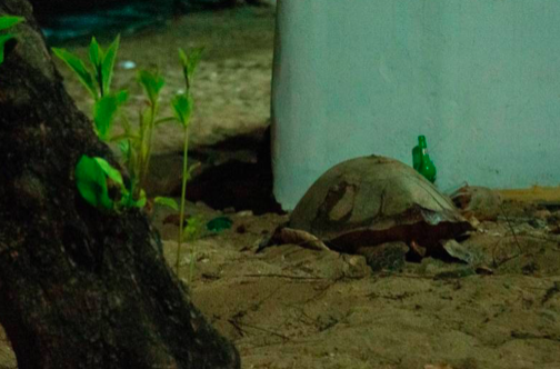 Bildschirmfoto 2019-11-01 um 1.57.52 PM