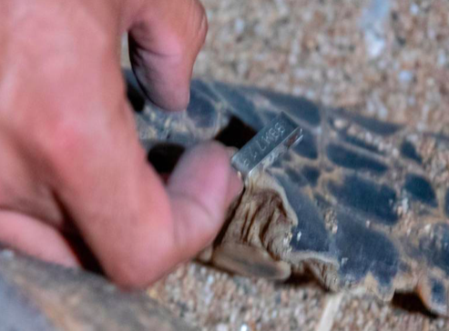 Bildschirmfoto 2019-11-01 um 1.57.59 PM