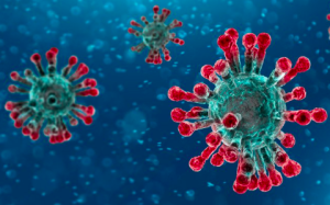 Coronavirus VIrus